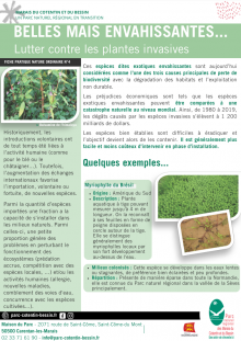 Fiche conseil n°4