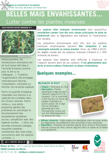 Fiche nature ordinaire n°4